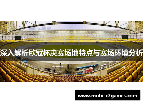 深入解析欧冠杯决赛场地特点与赛场环境分析