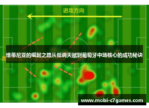 维蒂尼亚的崛起之路从低调天赋到葡萄牙中场核心的成功秘诀