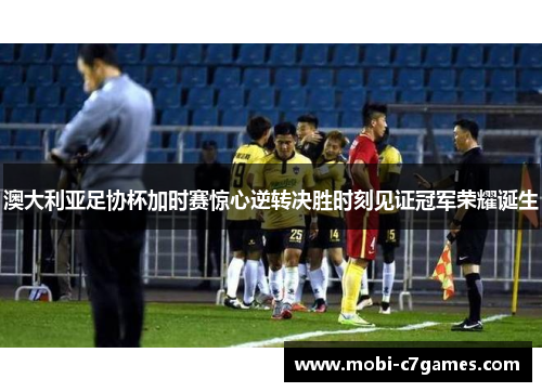 澳大利亚足协杯加时赛惊心逆转决胜时刻见证冠军荣耀诞生 澳大利亚足协杯加时赛惊心逆转决胜时刻见证冠军荣耀诞生