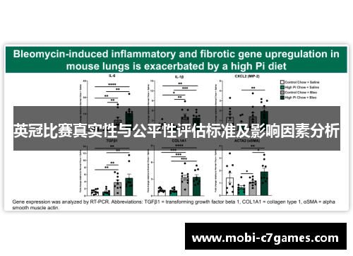 英冠比赛真实性与公平性评估标准及影响因素分析
